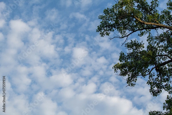 Obraz sky and clouds