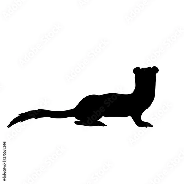 Fototapeta Marten  vector silhouette. Forest weasel black icon.