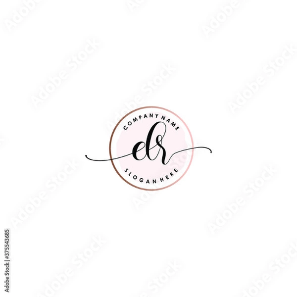 Obraz DR Initial handwriting logo template vector
