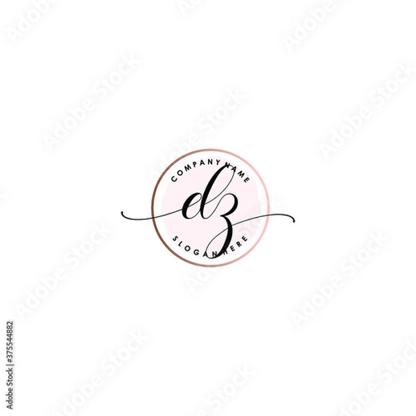 Fototapeta DZ Initial handwriting logo template vector
