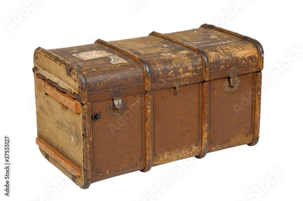 Obraz old trunk