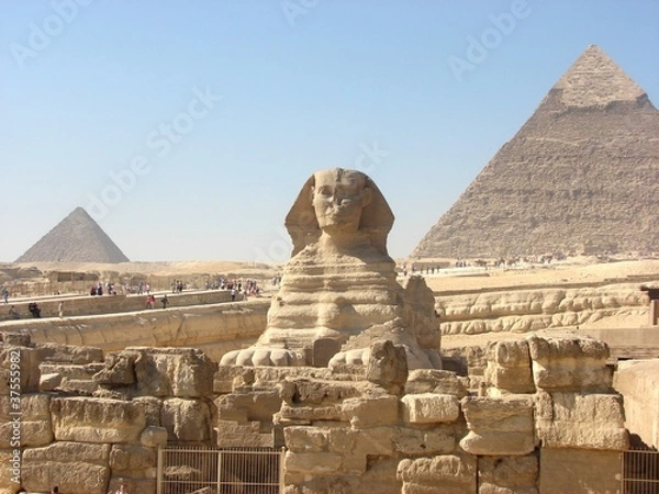 Fototapeta sphinx44