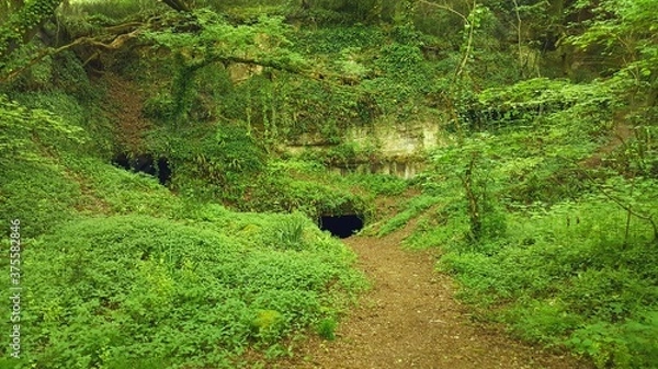 Obraz Forêt à Latresne