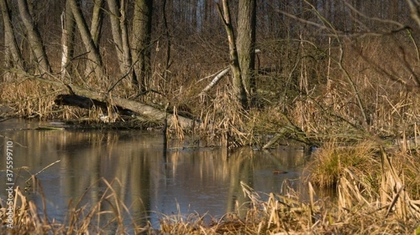 Obraz Landscape. Noteci Valley. Poland.
