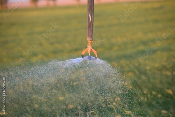 Obraz sprinkler in the grass