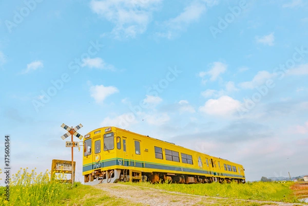 Obraz 春の青空の下 走る１両の黄色い列車と踏切