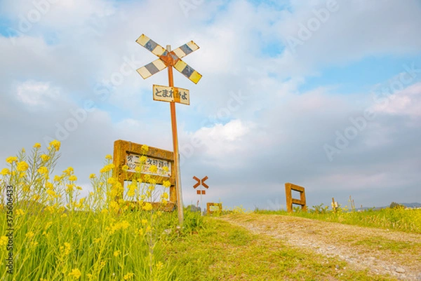 Obraz 田舎の可愛い踏切と菜の花