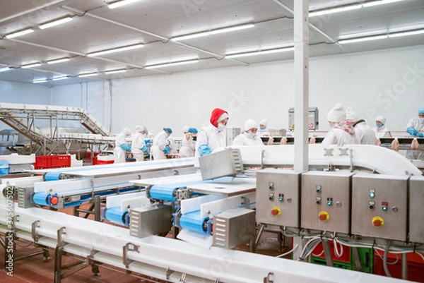 Obraz line packing meat products, meat factory.Food Convenience food.