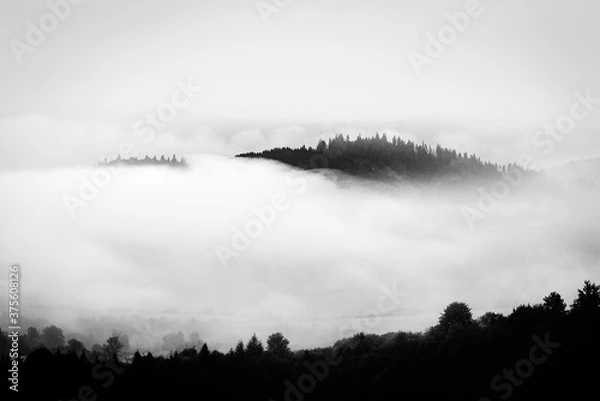 Obraz Sunrise Landscape