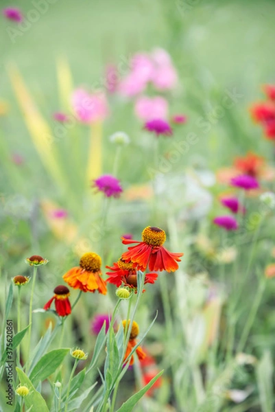 Obraz Green summer vertical background with flowers