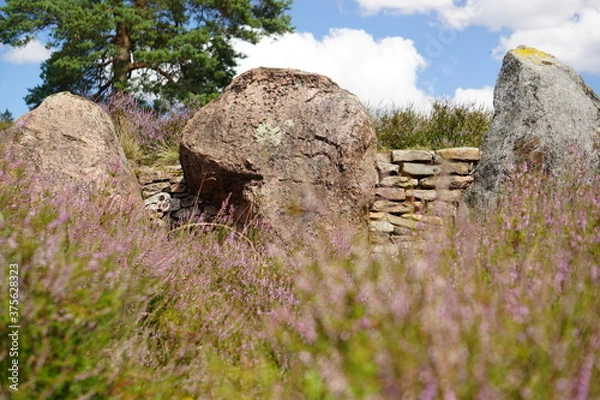 Obraz Heidelandschaft