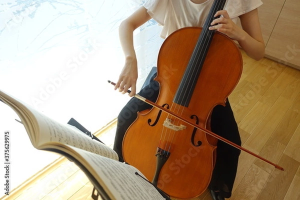 Fototapeta チェロを弾く女性　穏やかな光が射す部屋で　young woman playing the cello