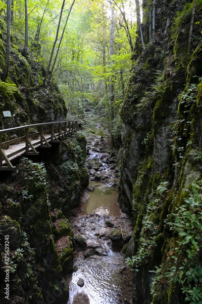 Obraz Johannesbachklamm