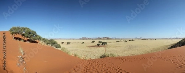 Obraz Panorama Sossusvlei