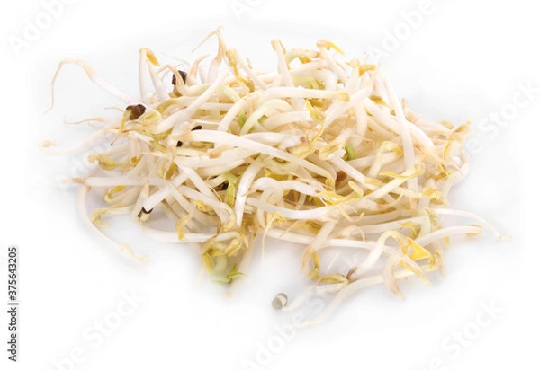 Obraz Bean Sprouts on White Background