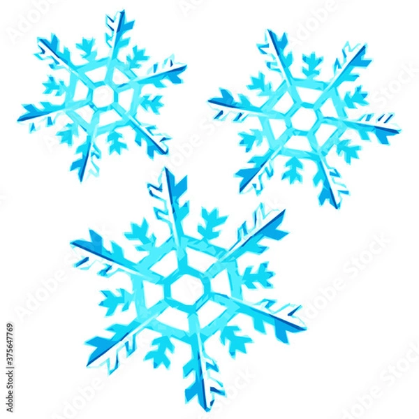 Obraz sky blue snowflake svg vector