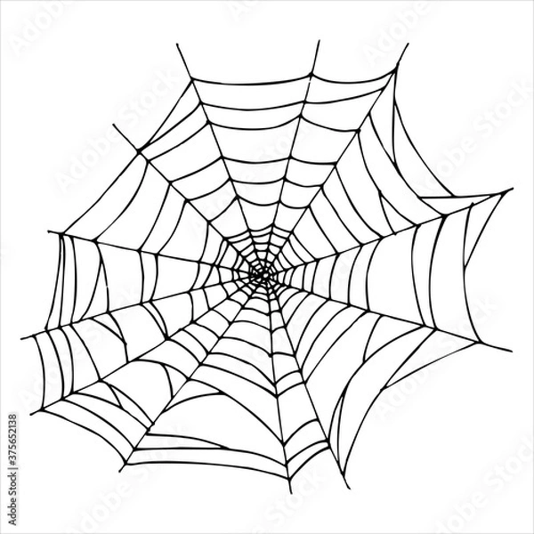 Fototapeta Vector image of spider web isolated on white background