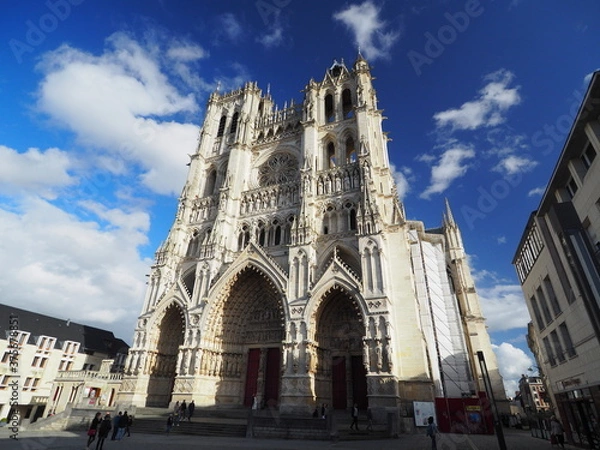 Fototapeta OLYMPUS DIGITAL CAMERA