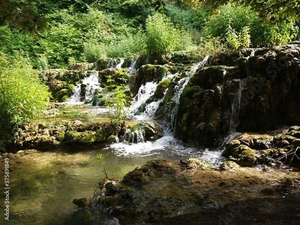 Obraz waterfall in the forest