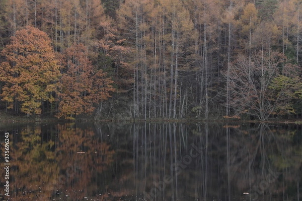 Obraz 早朝の神秘的な湖畔