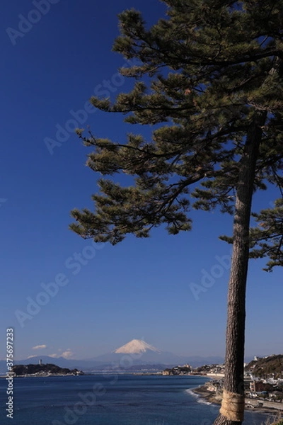 Obraz 崖の上に生えた松の木からの眺望
