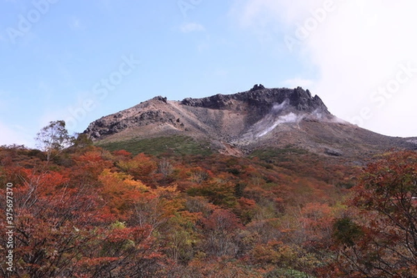 Obraz 城のような活火山の山頂と、それを守る砦のようなカラフルな紅葉樹林