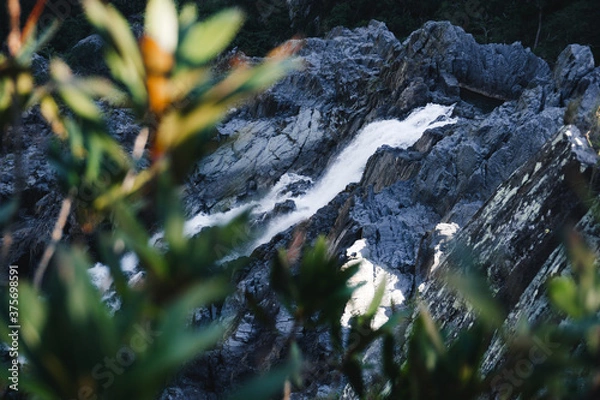 Fototapeta Waterfall with flowers on the foreground