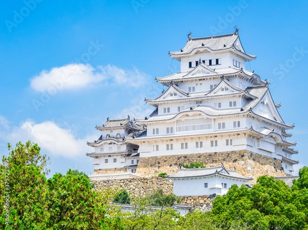 Fototapeta 世界遺産　姫路城