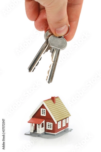 Obraz Real estate concept.