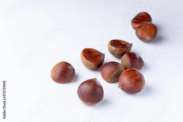 Obraz 栗　白背景