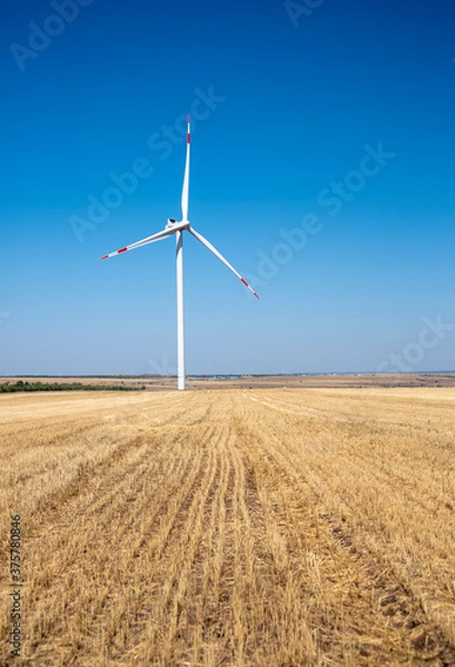 Fototapeta One windmill stands in a mown field against a blue sky.
