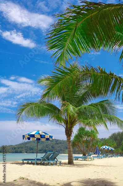 Fototapeta tropic view