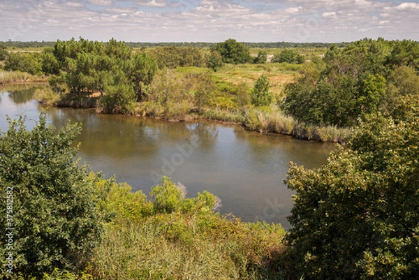 Fototapeta Views of the Ornithological Reserve of Teich, next to the Arcachon Bay, in the Gironde Department, France