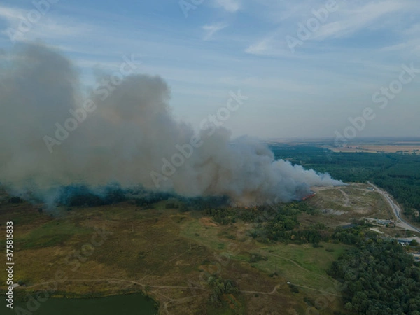Obraz Fire at the city dump