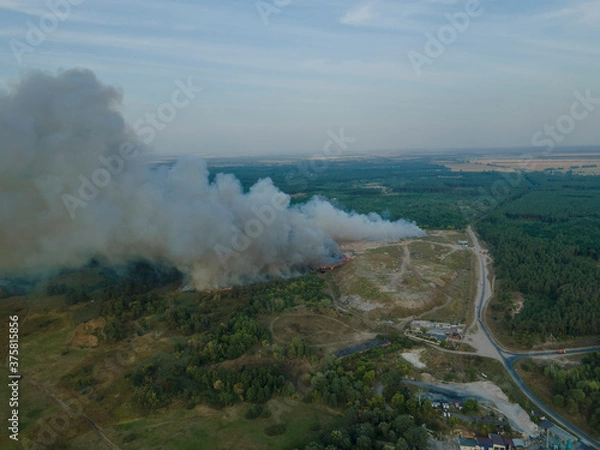 Obraz Fire at the city dump