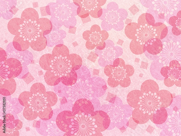 Fototapeta 和紙梅