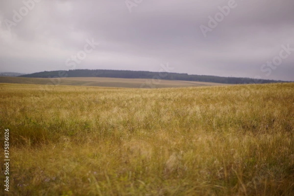 Fototapeta clouds over the meadow