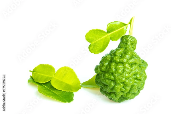 Fototapeta Kaffir lime fruit (bergamot) on a white background