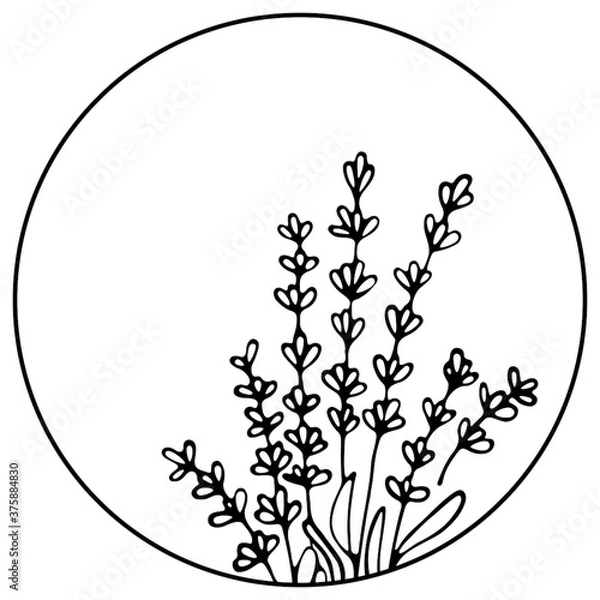 Fototapeta Set of Lavender flowers frame. Hand drawn wreath. Botanical vector border for your design. Logo and branding. Outline.