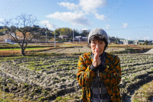 Obraz 田舎でお祈りをする高齢の女性