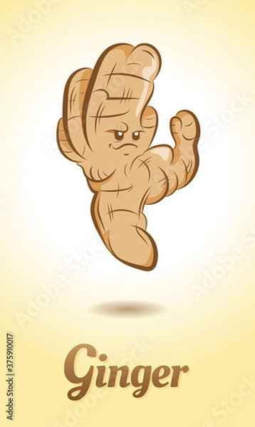 Fototapeta GINGER  ROOT - Veggie Cartoon Character - VECTOR - JPEG - PNG - NO BACKGROUND	
