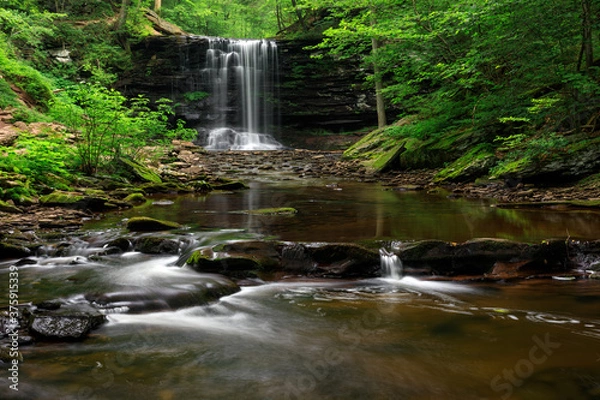 Obraz Ricketts Glen Again
