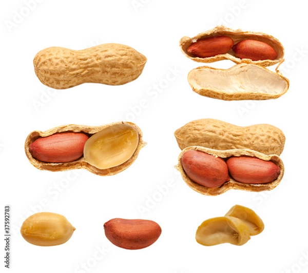 Fototapeta peanuts isolated on white background