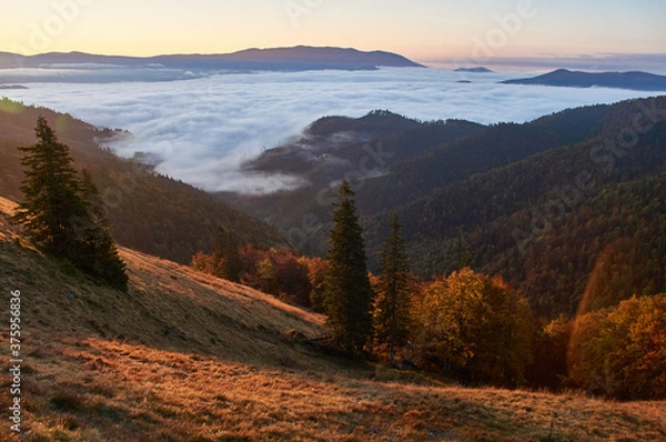 Fototapeta Low Tatras, Meadows, Dawn, Reddish