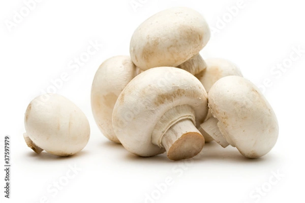 Fototapeta Champignon on a white background