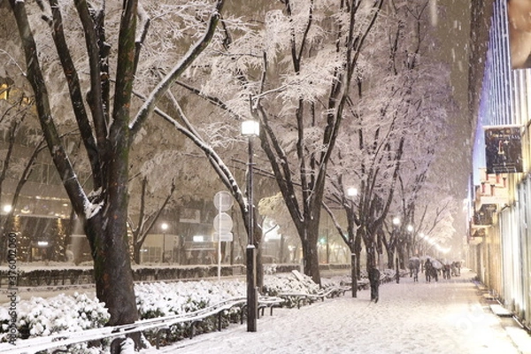 Obraz 豪雪に見舞われた東京・表参道