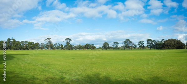 Obraz Panoramic view of a large grass field with a well-tended neat lawn against the blue sky. Background texture of grass and trees in a park with vast vacant open space on a sunny day. Copy space for text