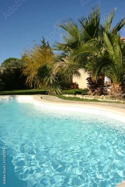 Obraz bord de piscine