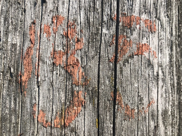 Obraz old wood background цшер ышпт 86