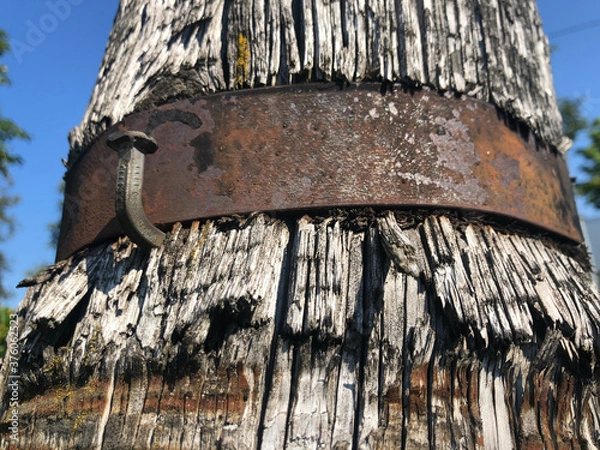 Obraz old wooden pillar